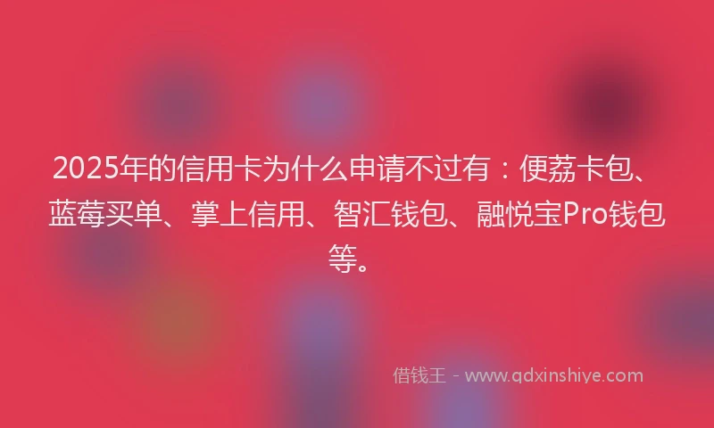 2025年的信用卡为什么申请不过有：便荔卡包、蓝莓买单、掌上信用、智汇钱包、融悦宝Pro钱包等。