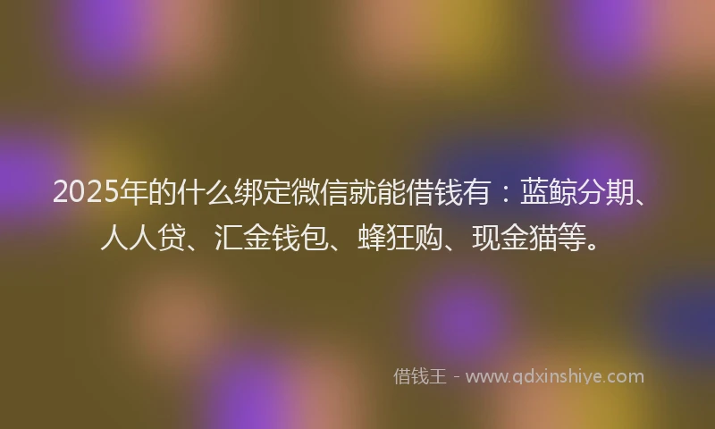 2025年的什么绑定微信就能借钱有：蓝鲸分期、人人贷、汇金钱包、蜂狂购、现金猫等。