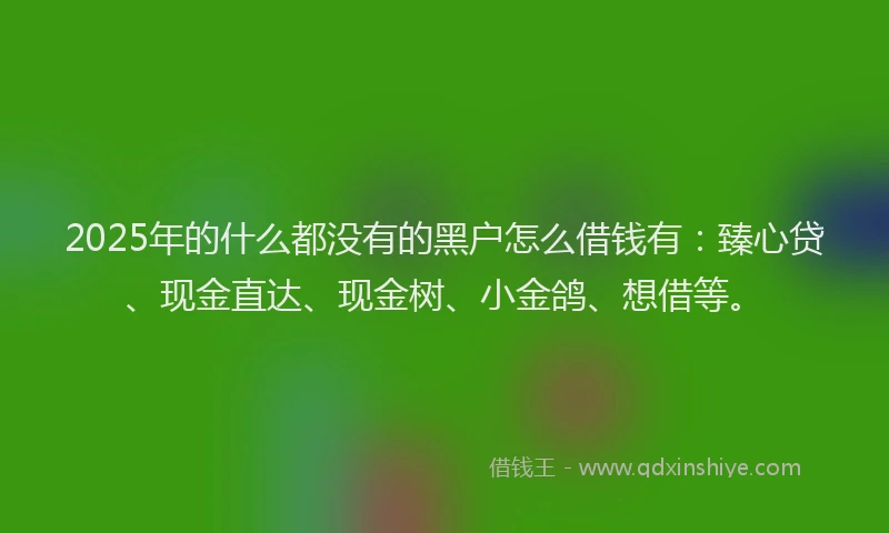 2025年的什么都没有的黑户怎么借钱有：臻心贷、现金直达、现金树、小金鸽、想借等。