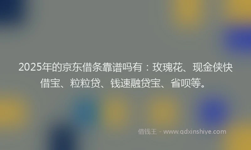 2025年的京东借条靠谱吗有：玫瑰花、现金侠快借宝、粒粒贷、钱速融贷宝、省呗等。