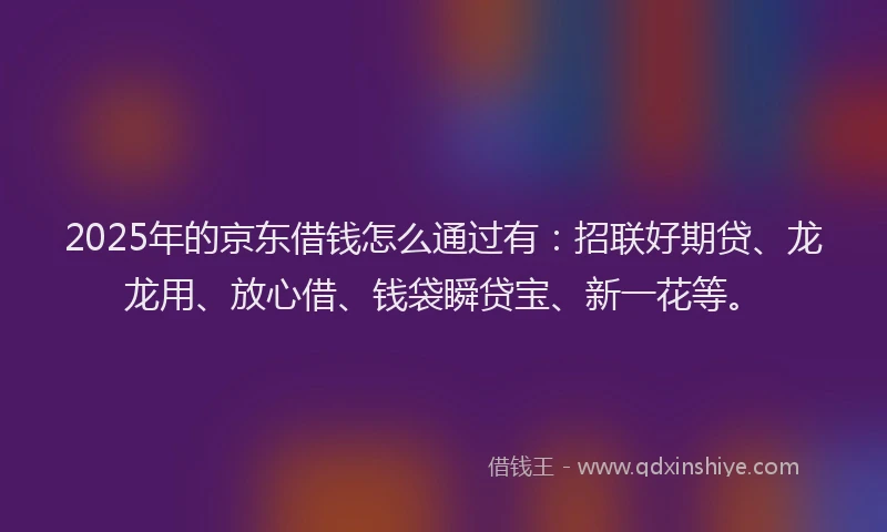 2025年的京东借钱怎么通过有：招联好期贷、龙龙用、放心借、钱袋瞬贷宝、新一花等。