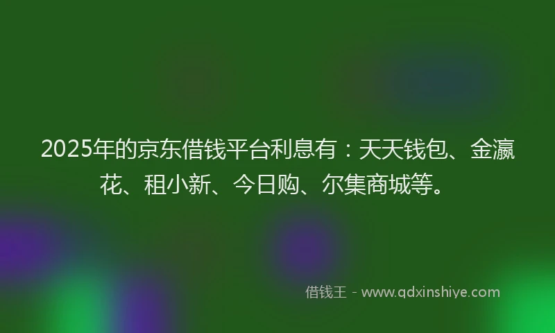 2025年的京东借钱平台利息有：天天钱包、金瀛花、租小新、今日购、尔集商城等。