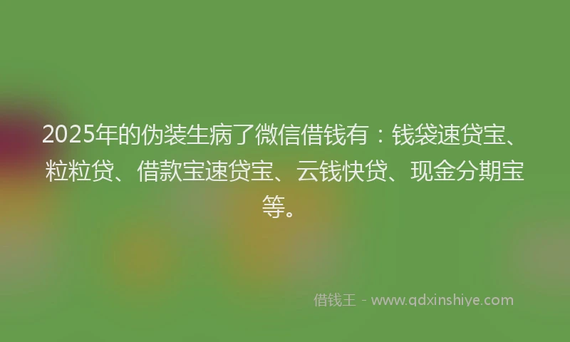 2025年的伪装生病了微信借钱有：钱袋速贷宝、粒粒贷、借款宝速贷宝、云钱快贷、现金分期宝等。
