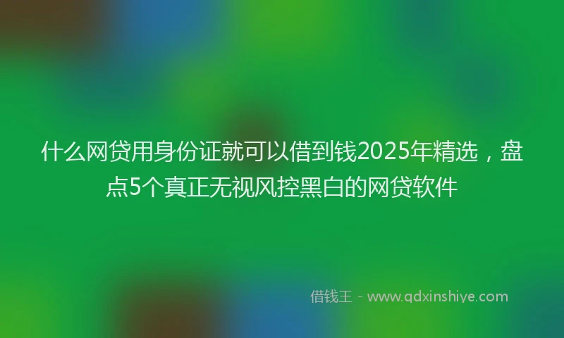 什么网贷用身份证就可以借到钱2025年精选,盘点5个真正无视风控黑白的网贷软件
