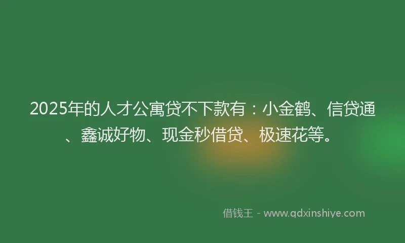 2025年的人才公寓贷不下款有：小金鹤、信贷通、鑫诚好物、现金秒借贷、极速花等。