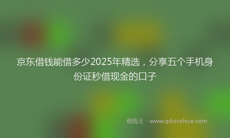 京东借钱能借多少2025年精选，分享五个手机身份证秒借现金的口子