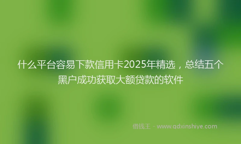 什么平台容易下款信用卡2025年精选，总结五个黑户成功获取大额贷款的软件