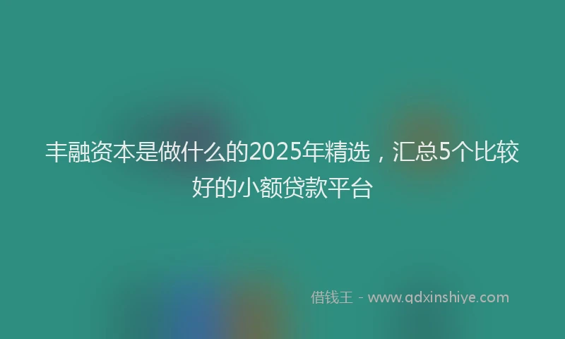 丰融资本是做什么的2025年精选，汇总5个比较好的小额贷款平台