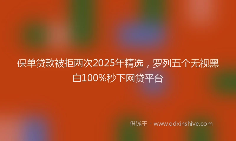 保单贷款被拒两次2025年精选，罗列五个无视黑白100%秒下网贷平台