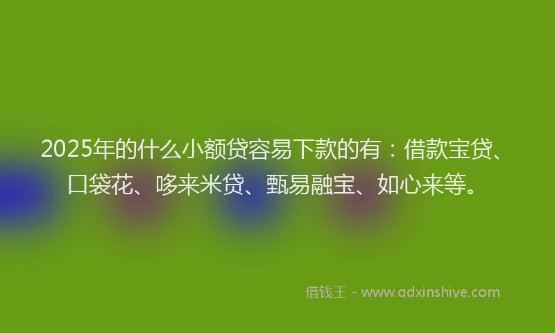 2025年的什么小额贷容易下款的有：借款宝贷、口袋花、哆来米贷、甄易融宝、如心来等。