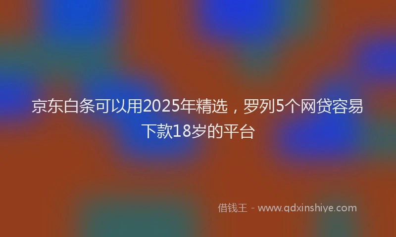 京东白条可以用2025年精选，罗列5个网贷容易下款18岁的平台