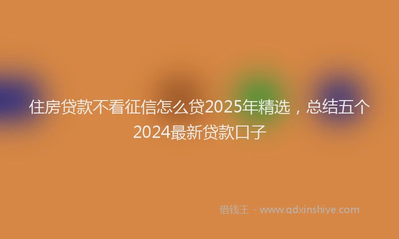 住房贷款不看征信怎么贷2025年精选，总结五个2024最新贷款口子