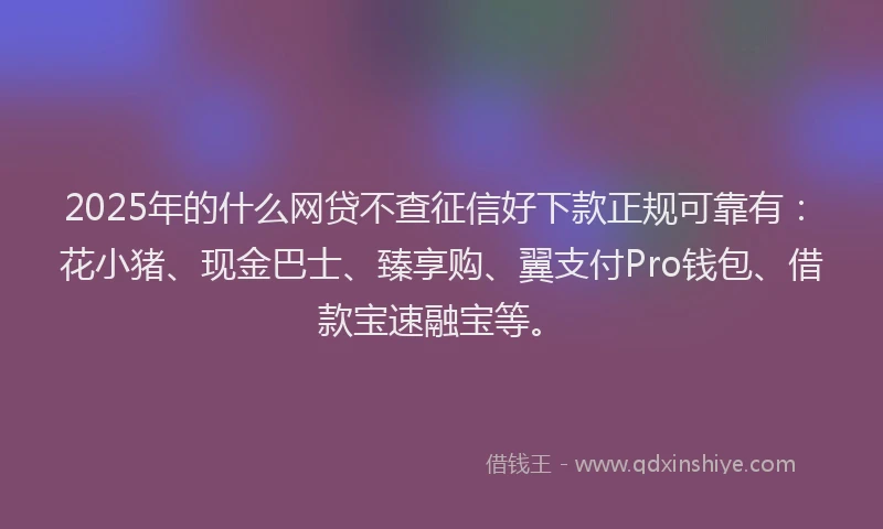 2025年的什么网贷不查征信好下款正规可靠有:花小猪、现金巴士、臻享购、翼支付Pro钱包、借款宝速融宝等。