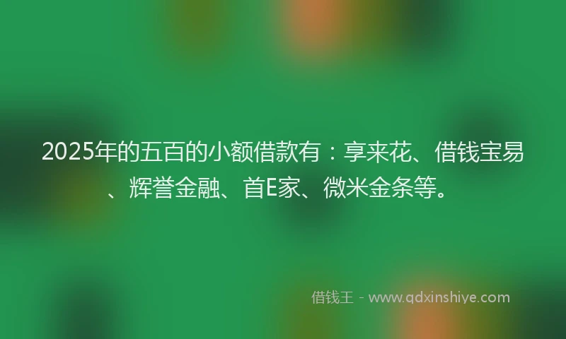 2025年的五百的小额借款有：享来花、借钱宝易、辉誉金融、首E家、微米金条等。