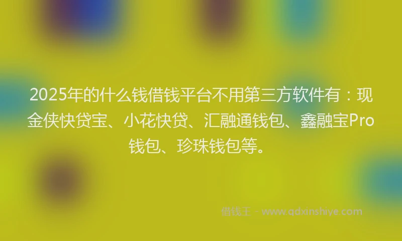 2025年的什么钱借钱平台不用第三方软件有：现金侠快贷宝、小花快贷、汇融通钱包、鑫融宝Pro钱包、珍珠钱包等。