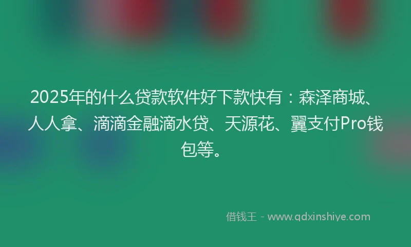 2025年的什么贷款软件好下款快有：森泽商城、人人拿、滴滴金融滴水贷、天源花、翼支付Pro钱包等。