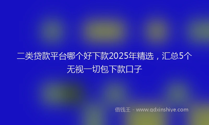 二类贷款平台哪个好下款2025年精选，汇总5个无视一切包下款口子