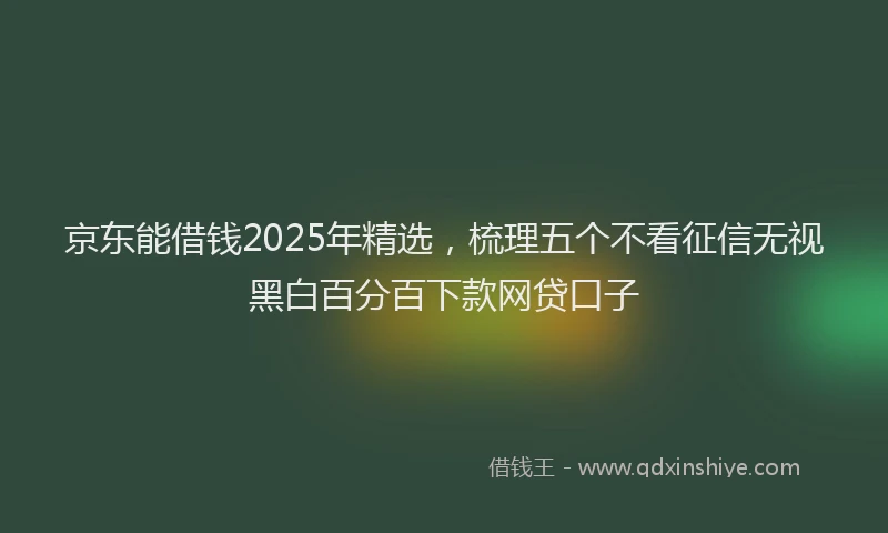 京东能借钱2025年精选，梳理五个不看征信无视黑白百分百下款网贷口子