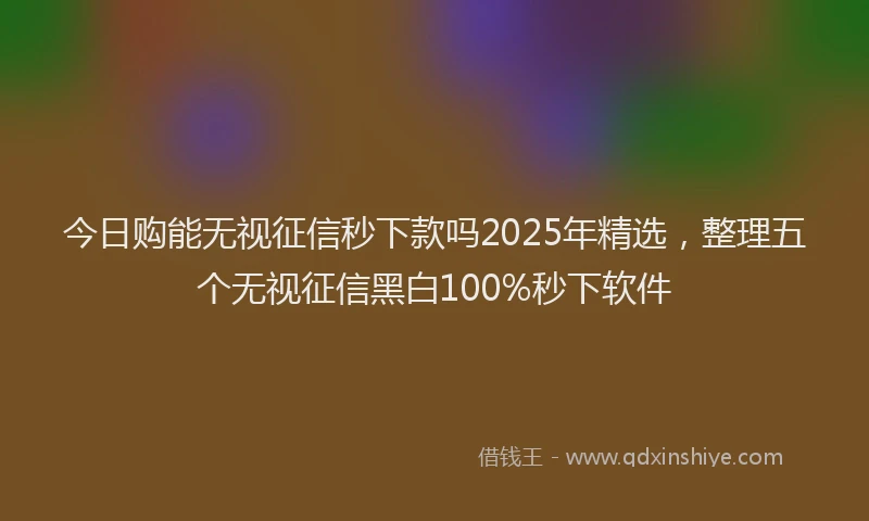 今日购能无视征信秒下款吗2025年精选，整理五个无视征信黑白100%秒下软件