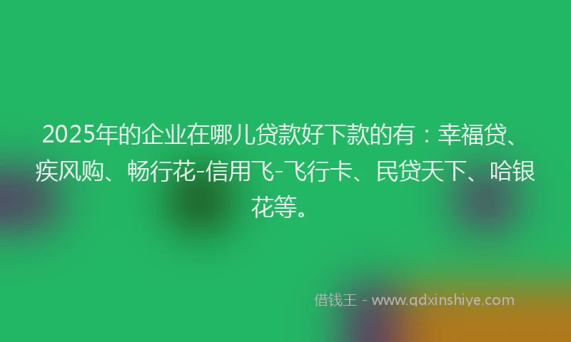 2025年的企业在哪儿贷款好下款的有：幸福贷、疾风购、畅行花-信用飞-飞行卡、民贷天下、哈银花等。