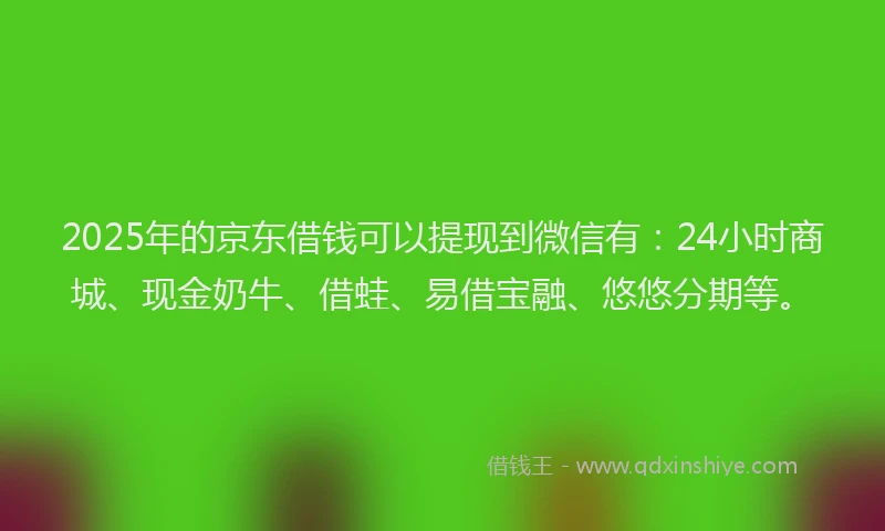 2025年的京东借钱可以提现到微信有：24小时商城、现金奶牛、借蛙、易借宝融、悠悠分期等。