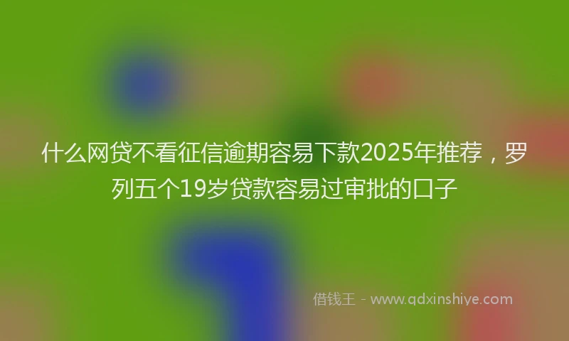 什么网贷不看征信逾期容易下款2025年推荐，罗列五个19岁贷款容易过审批的口子