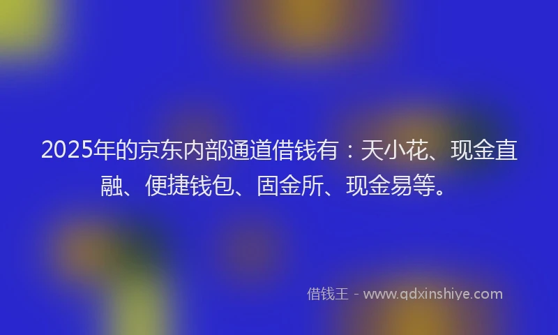 2025年的京东内部通道借钱有：天小花、现金直融、便捷钱包、固金所、现金易等。
