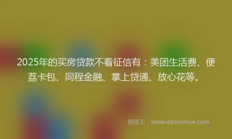 2025年的买房贷款不看征信有：美团生活费、便荔卡包、同程金融、掌上贷通、放心花等。