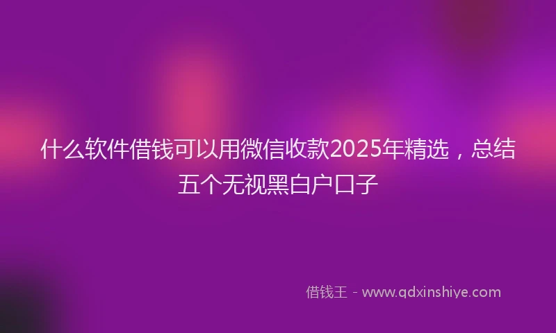 什么软件借钱可以用微信收款2025年精选，总结五个无视黑白户口子