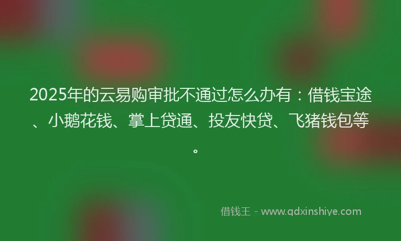 2025年的云易购审批不通过怎么办有：借钱宝途、小鹅花钱、掌上贷通、投友快贷、飞猪钱包等。