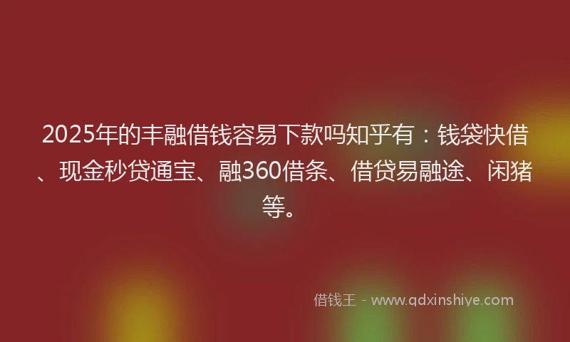 2025年的丰融借钱容易下款吗知乎有：钱袋快借、现金秒贷通宝、融360借条、借贷易融途、闲猪等。