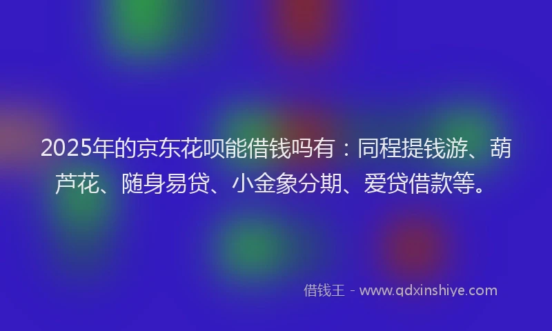 2025年的京东花呗能借钱吗有:同程提钱游、葫芦花、随身易贷、小金象分期、爱贷借款等。