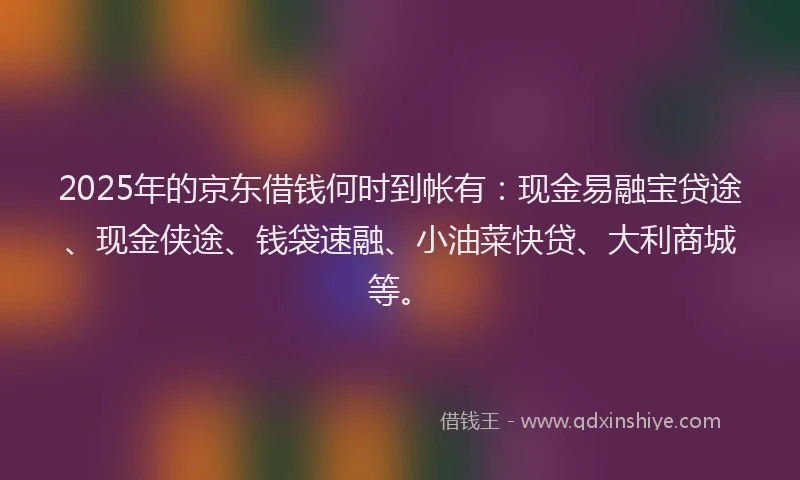 2025年的京东借钱何时到帐有：现金易融宝贷途、现金侠途、钱袋速融、小油菜快贷、大利商城等。