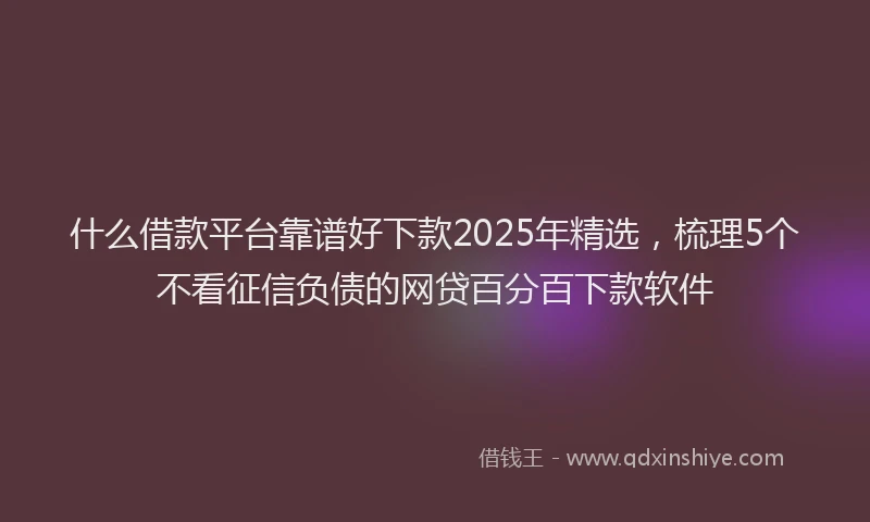 什么借款平台靠谱好下款2025年精选，梳理5个不看征信负债的网贷百分百下款软件