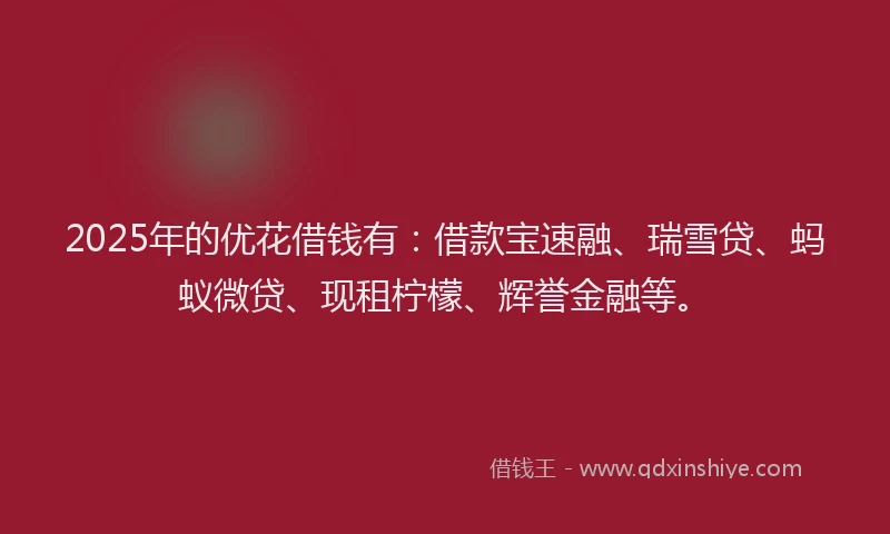 2025年的优花借钱有：借款宝速融、瑞雪贷、蚂蚁微贷、现租柠檬、辉誉金融等。