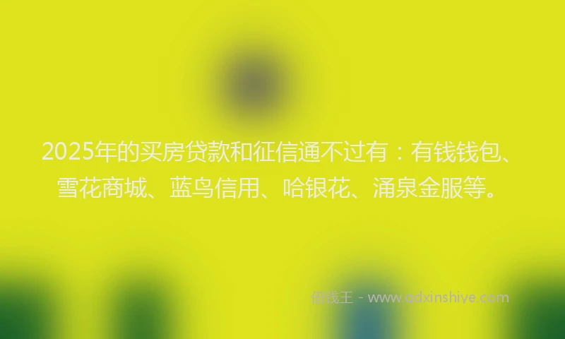 2025年的买房贷款和征信通不过有：有钱钱包、雪花商城、蓝鸟信用、哈银花、涌泉金服等。