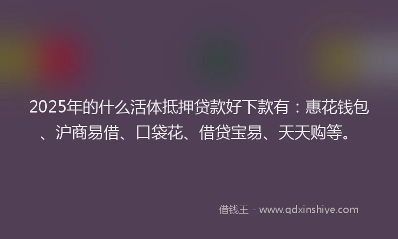2025年的什么活体抵押贷款好下款有：惠花钱包、沪商易借、口袋花、借贷宝易、天天购等。