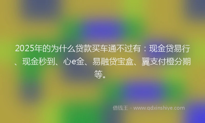 2025年的为什么贷款买车通不过有：现金贷易行、现金秒到、心e金、易融贷宝盒、翼支付橙分期等。