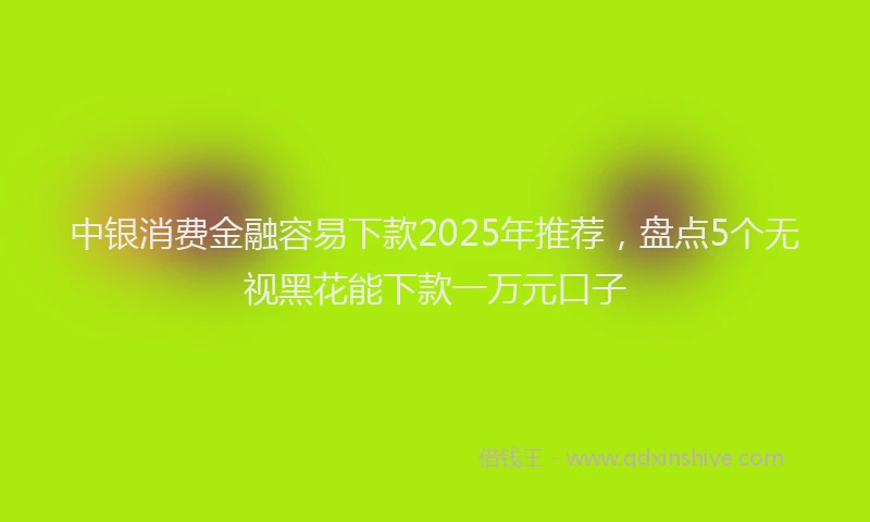中银消费金融容易下款2025年推荐，盘点5个无视黑花能下款一万元口子