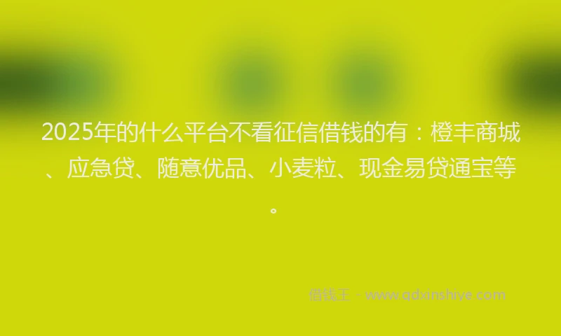 2025年的什么平台不看征信借钱的有：橙丰商城、应急贷、随意优品、小麦粒、现金易贷通宝等。