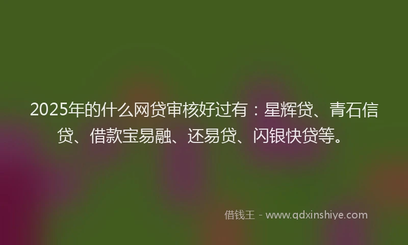 2025年的什么网贷审核好过有：星辉贷、青石信贷、借款宝易融、还易贷、闪银快贷等。