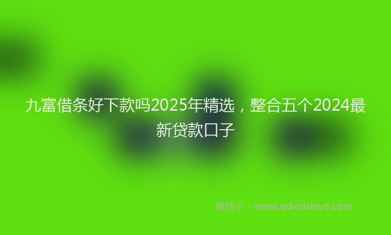 九富借条好下款吗2025年精选，整合五个2024最新贷款口子