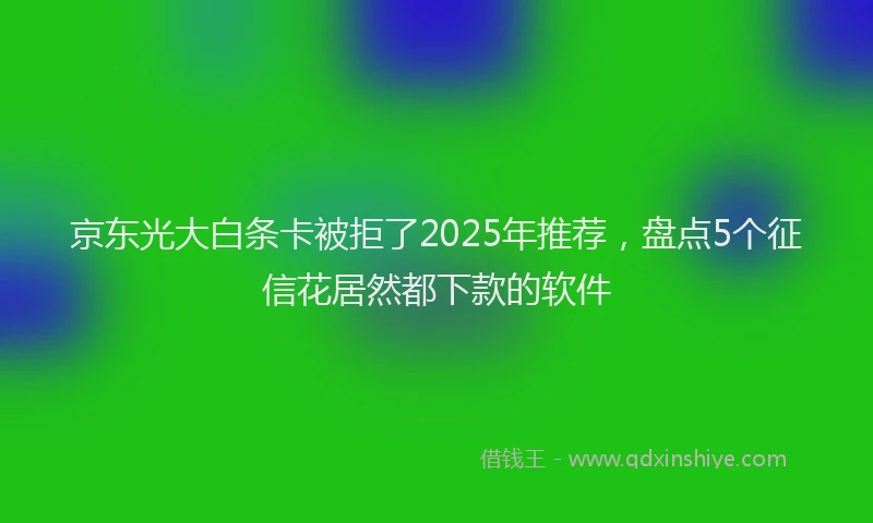京东光大白条卡被拒了2025年推荐，盘点5个征信花居然都下款的软件