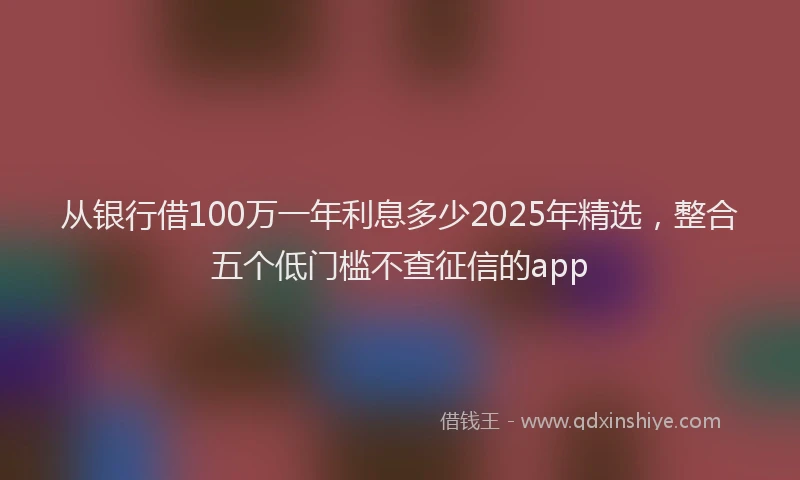 从银行借100万一年利息多少2025年精选，整合五个低门槛不查征信的app