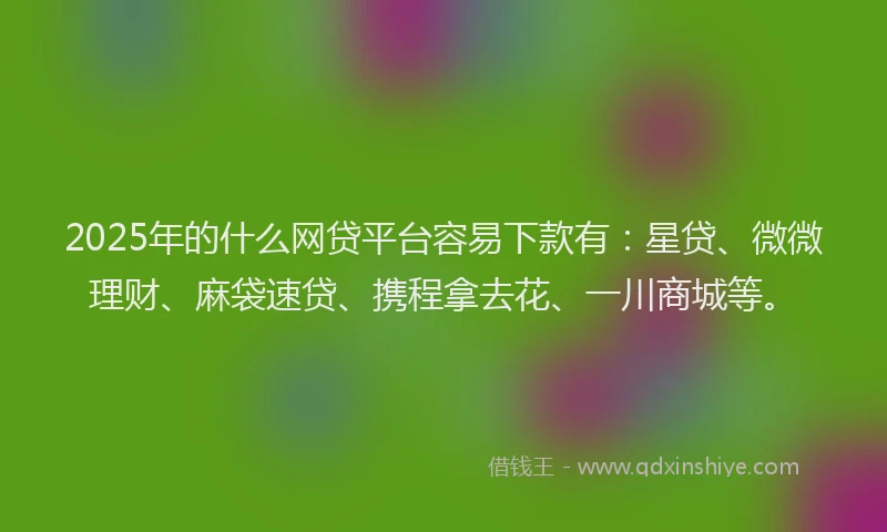 2025年的什么网贷平台容易下款有：星贷、微微理财、麻袋速贷、携程拿去花、一川商城等。