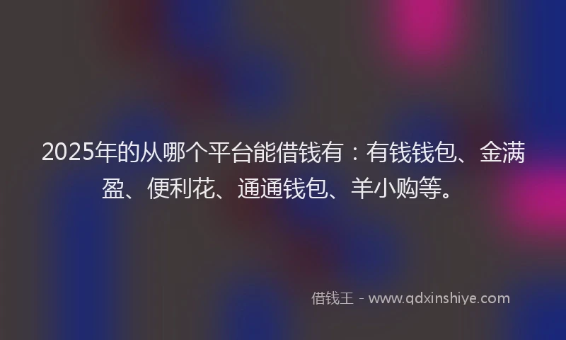 2025年的从哪个平台能借钱有:有钱钱包、金满盈、便利花、通通钱包、羊小购等。