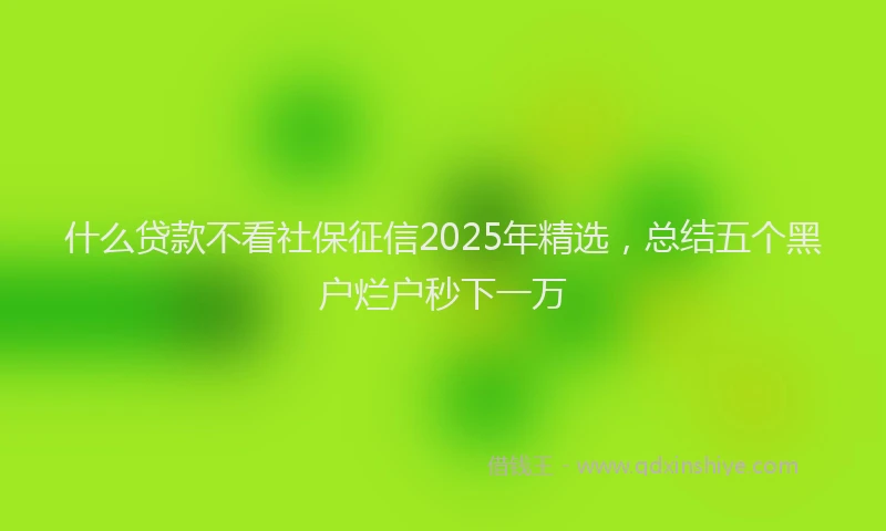 什么贷款不看社保征信2025年精选，总结五个黑户烂户秒下一万