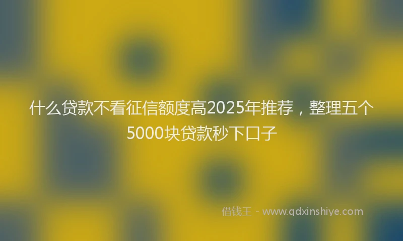 什么贷款不看征信额度高2025年推荐，整理五个5000块贷款秒下口子