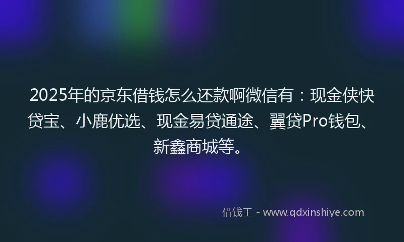 2025年的京东借钱怎么还款啊微信有：现金侠快贷宝、小鹿优选、现金易贷通途、翼贷Pro钱包、新鑫商城等。