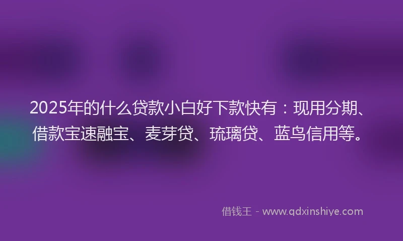 2025年的什么贷款小白好下款快有：现用分期、借款宝速融宝、麦芽贷、琉璃贷、蓝鸟信用等。